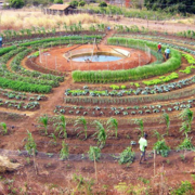 Agriculture